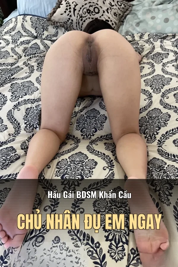 Hầu Gái BDSM Khẩn Cầu Chủ Nhân Đụ Em Ngay